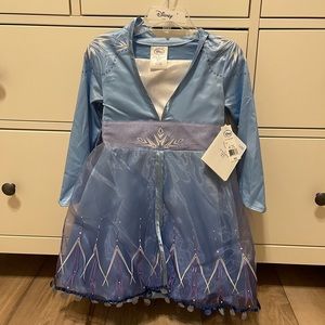 Elsa dress/costume